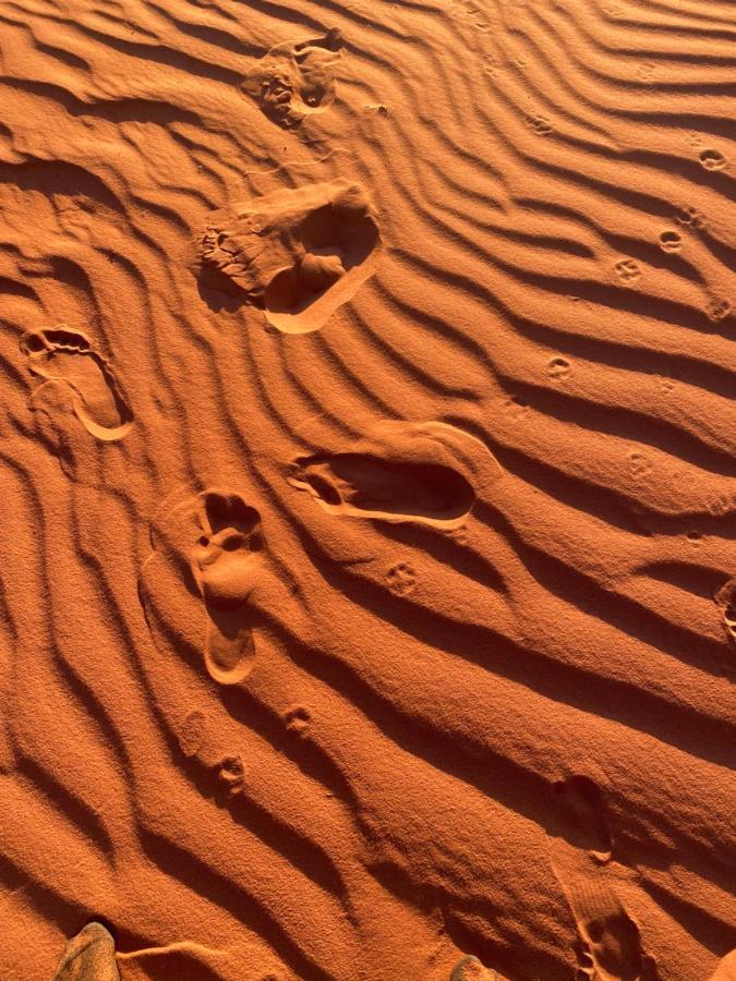 Wadi Rum Silk Road Camp מראה חיצוני תמונה