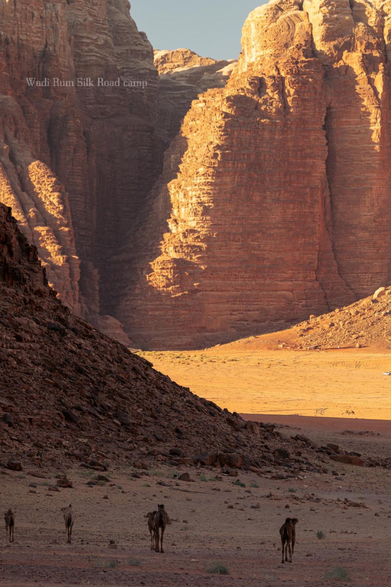 Wadi Rum Silk Road Camp מראה חיצוני תמונה