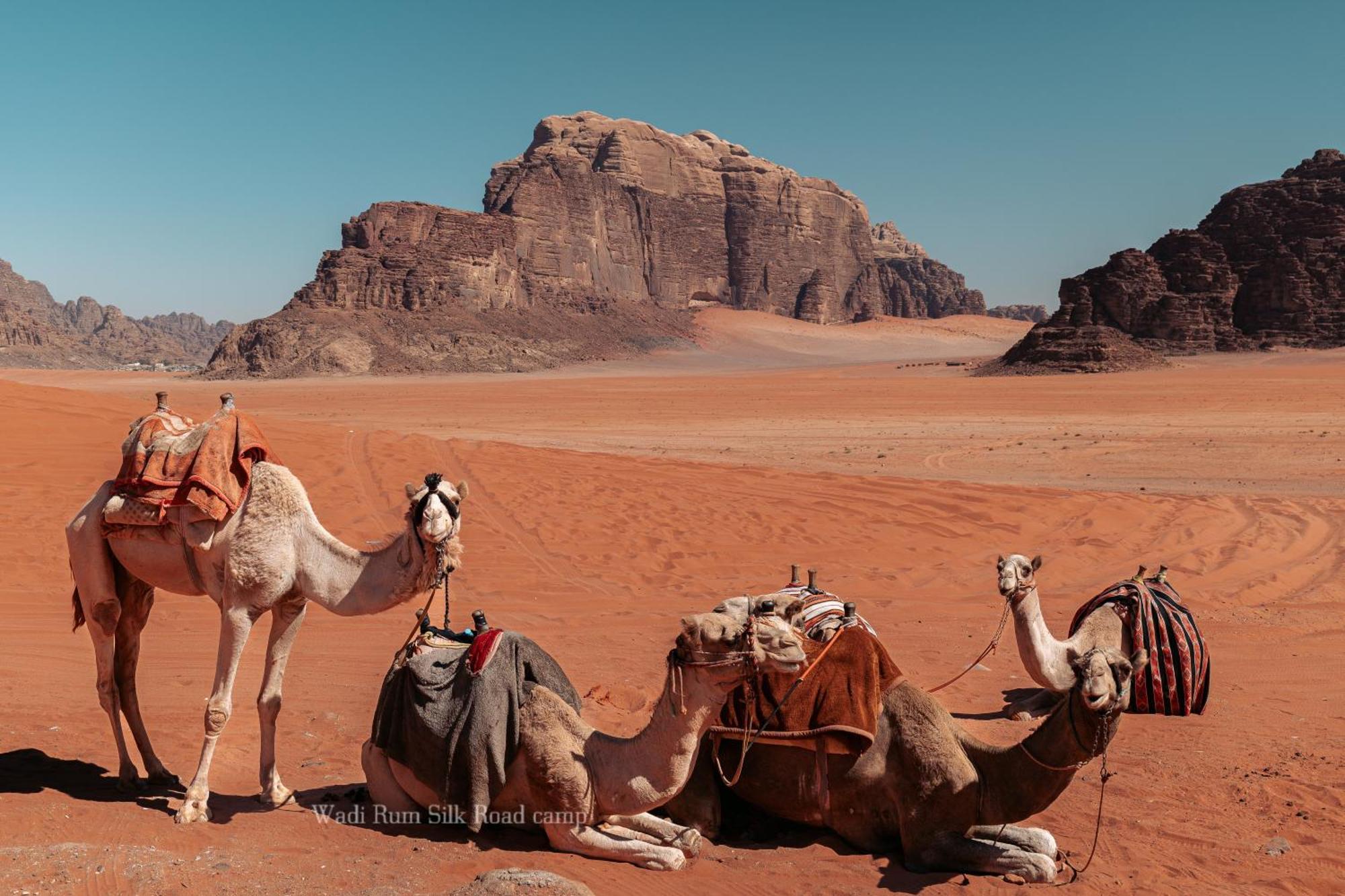 Wadi Rum Silk Road Camp מראה חיצוני תמונה